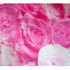 Décopatch Papier 338 decopatch Rose